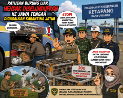 Ratusan Burung Liar Hendak Diselundupkan ke Jawa Tengah Digagalkan Karantina Jatim