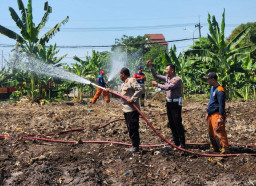 Hadapi Kemarau, Polres Pelabuhan Tanjung Perak Siram Lahan Jagung Ketahanan Pangan
