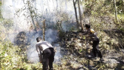 Respon Cepat Call Center 110 Polres Ngawi, Kebakaran Lahan di Bukit Gogor Sine Berhasil Dipadamkan