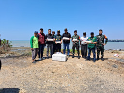 Karantina Jatim Gagalkan Penyelundupan Benih Lobster Rp4,6 Miliar