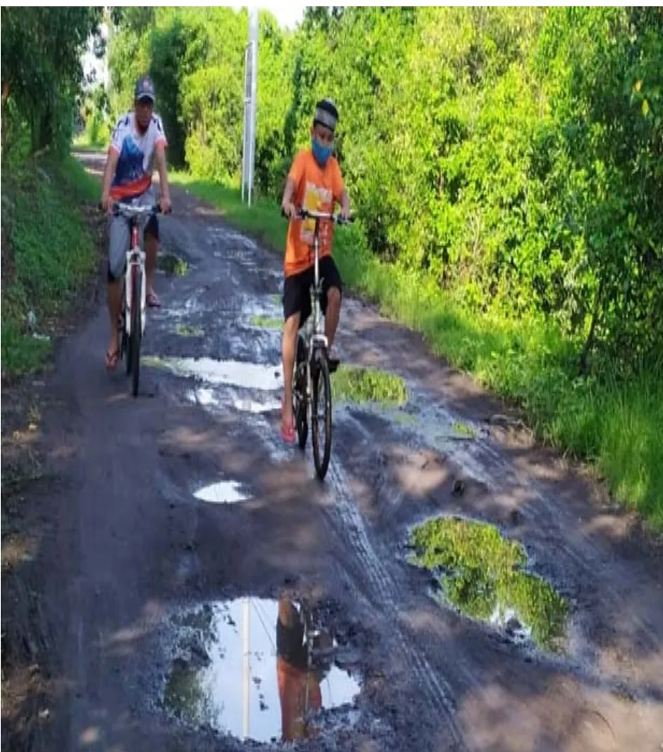 Akses Masuk Kawasan Kebun Raya Mangrove Butuh Sentuhan Pemkot Surabaya