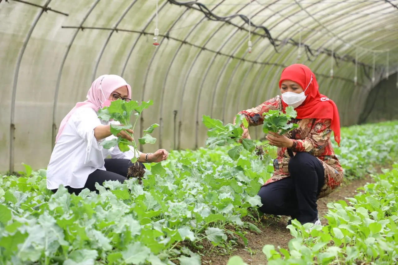 MoU dengan Institut Pertanian Bogor, Gubernur Khofifah : Upaya Penguatan One Village One CEO di Jawa Timur
