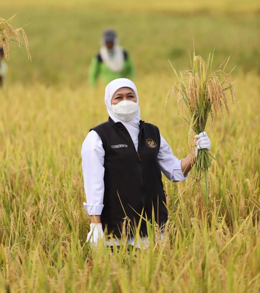 Gubernur Khofifah Tegaskan Komitmen Jatim Turut Wujudkan Kedaulatan Pangan Nasional