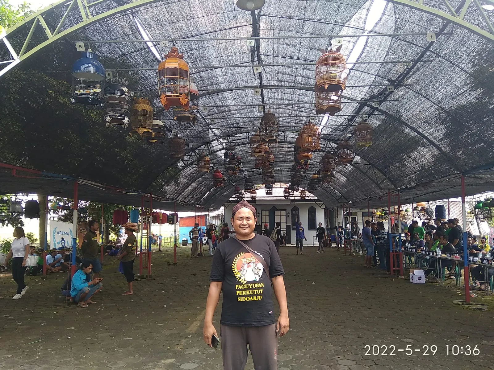 Paguyuban Pelestari dan Pecinta Perkutut Lokal Seluruh Indonesia (P4LSI) Jatim Gelar Lomba Perkutut di Prambon