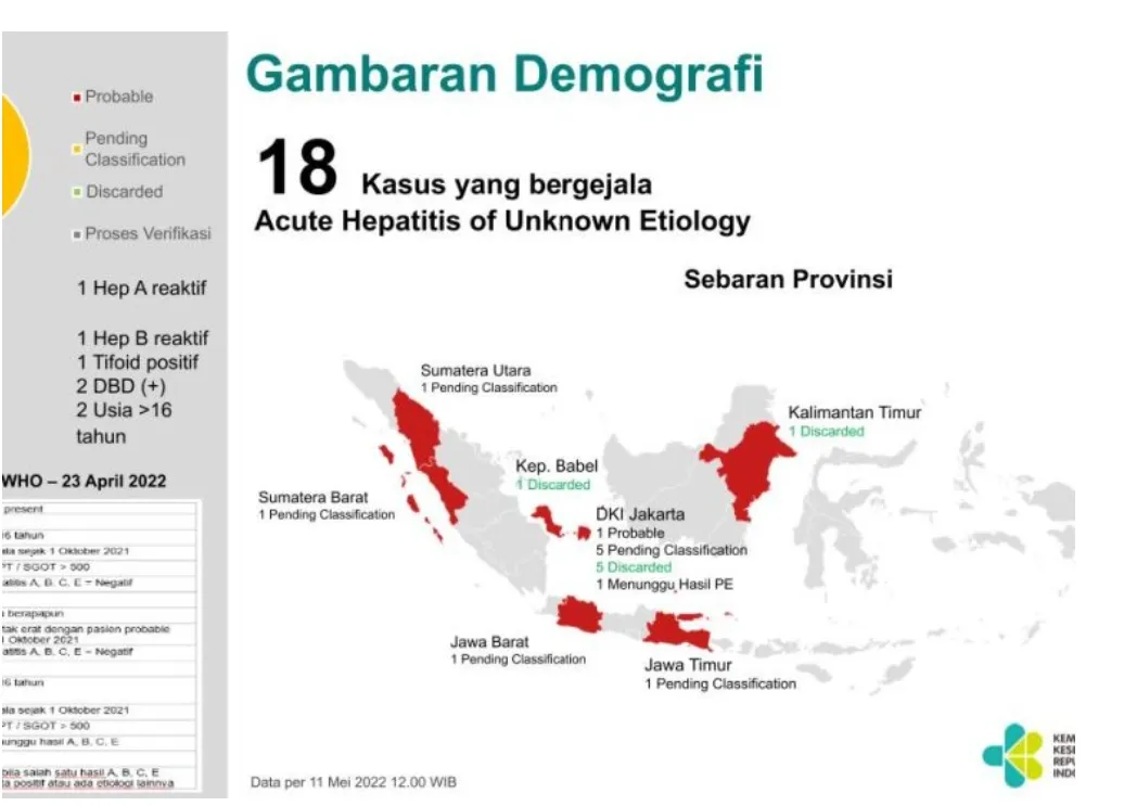Kemenkes Temukan 18 Orang Dugaan Kasus Hepatitis Akut