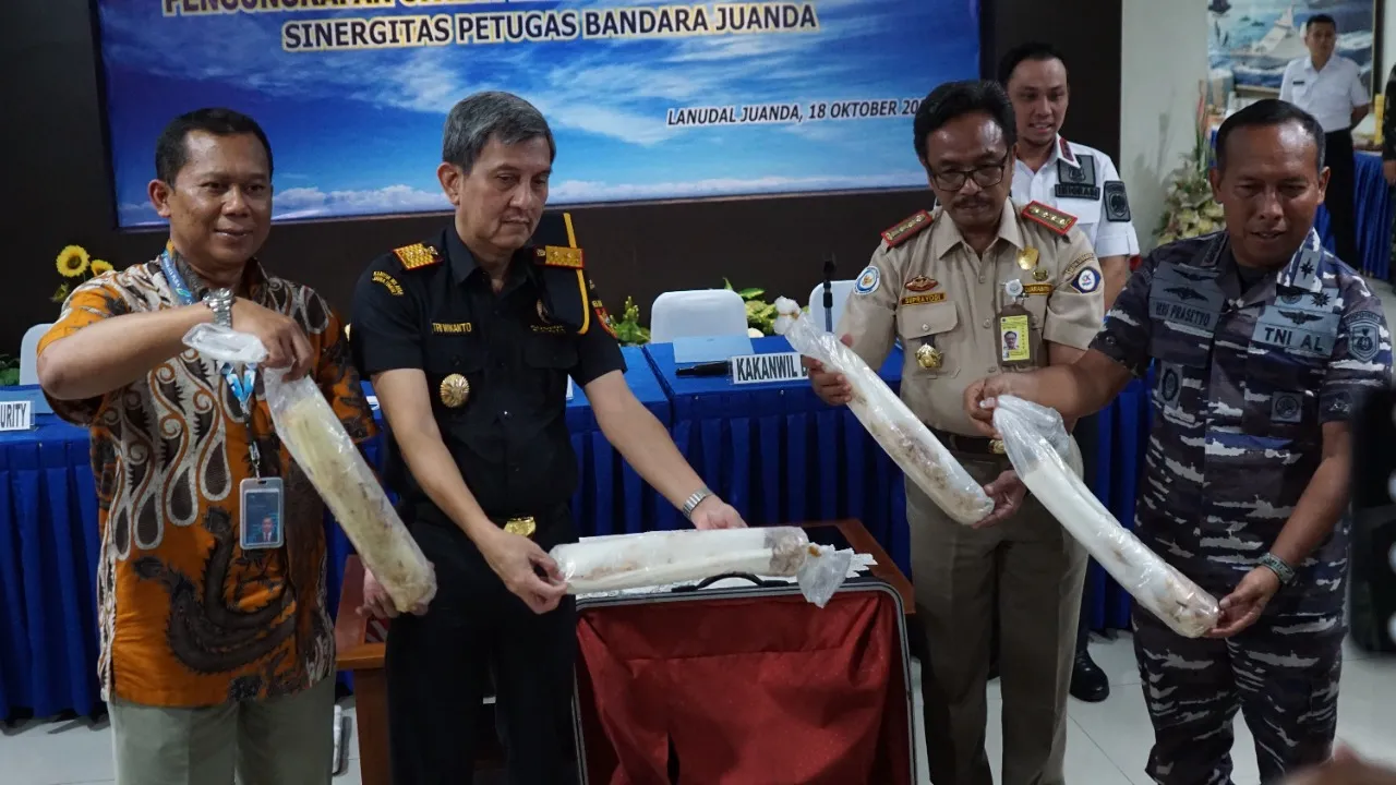 Lagi lagi Penyelundupan Puluhan Ribu Benih Lobster Berhasil Digagalkan Di Bandara Juanda