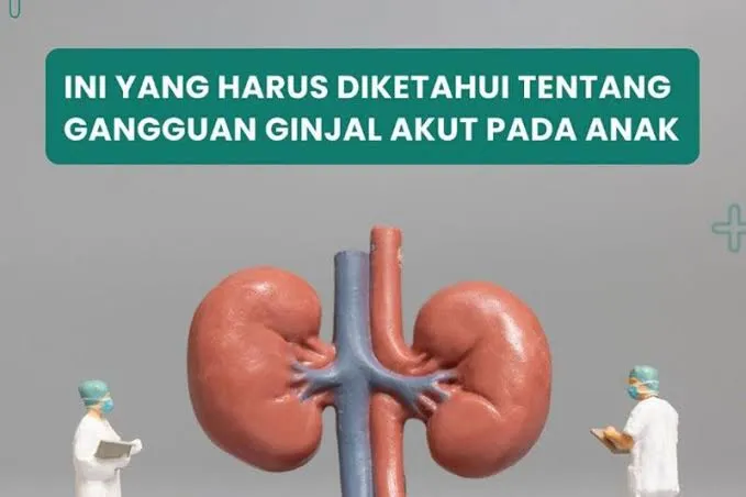 Tak Ada Penambahan Kasus Baru Gangguan Ginjal Akut, Namun Tetap Waspada
