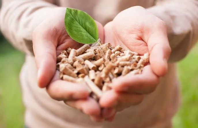 Pemerintah Dorong Pemanfaatan Biomassa Dalam Transisi Energi