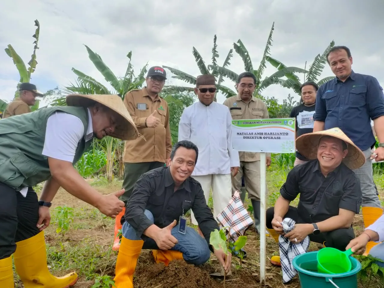 Direktur Operasi Perum Perhutani dan anggota Komisi VI DPR RI Tanam Pohon di Banyuwangi