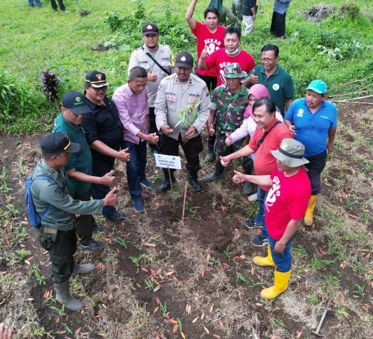 Gerakan Tanam Pohon Perhutani KPH Banyuwangi Barat Bersama LMDH 
