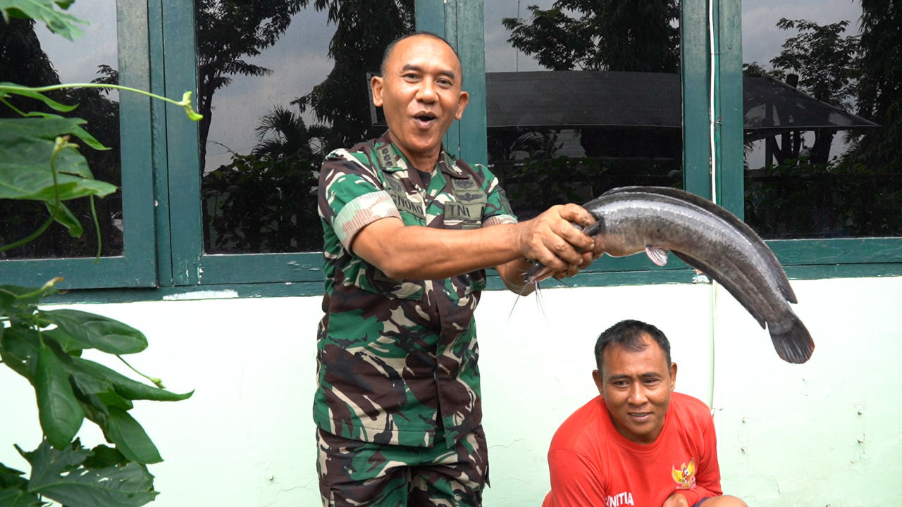 Panen Lele dan Sayuran di Markas Korem 084/Bhaskara Jaya