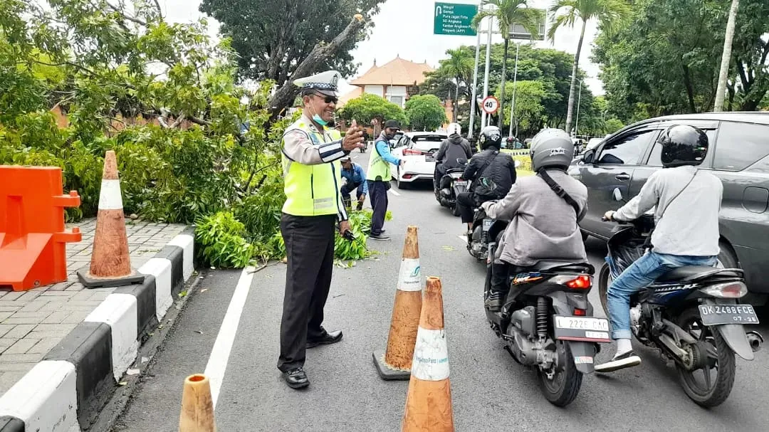 Pohon Tumbang di Jalur Bandara, Personil Polres Bandara Pengaturan Lalin Antisifasi Kemacetan 