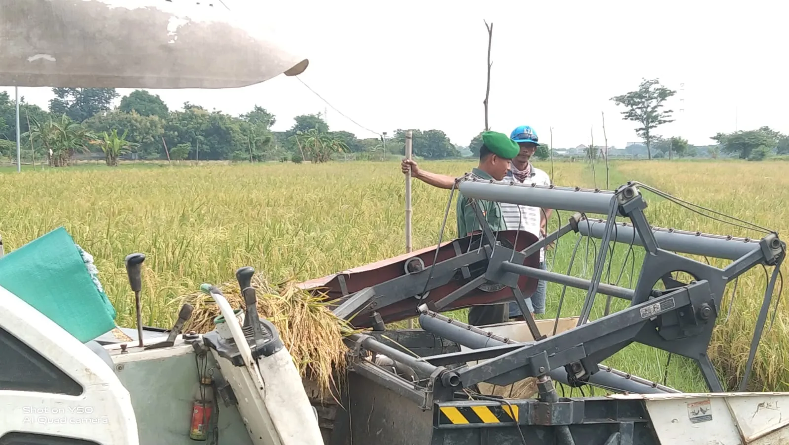 Babinsa Duduksampeyan Berikan Dorongan Petani untuk Mendongkrak Swasembada Pangan di Wilayah