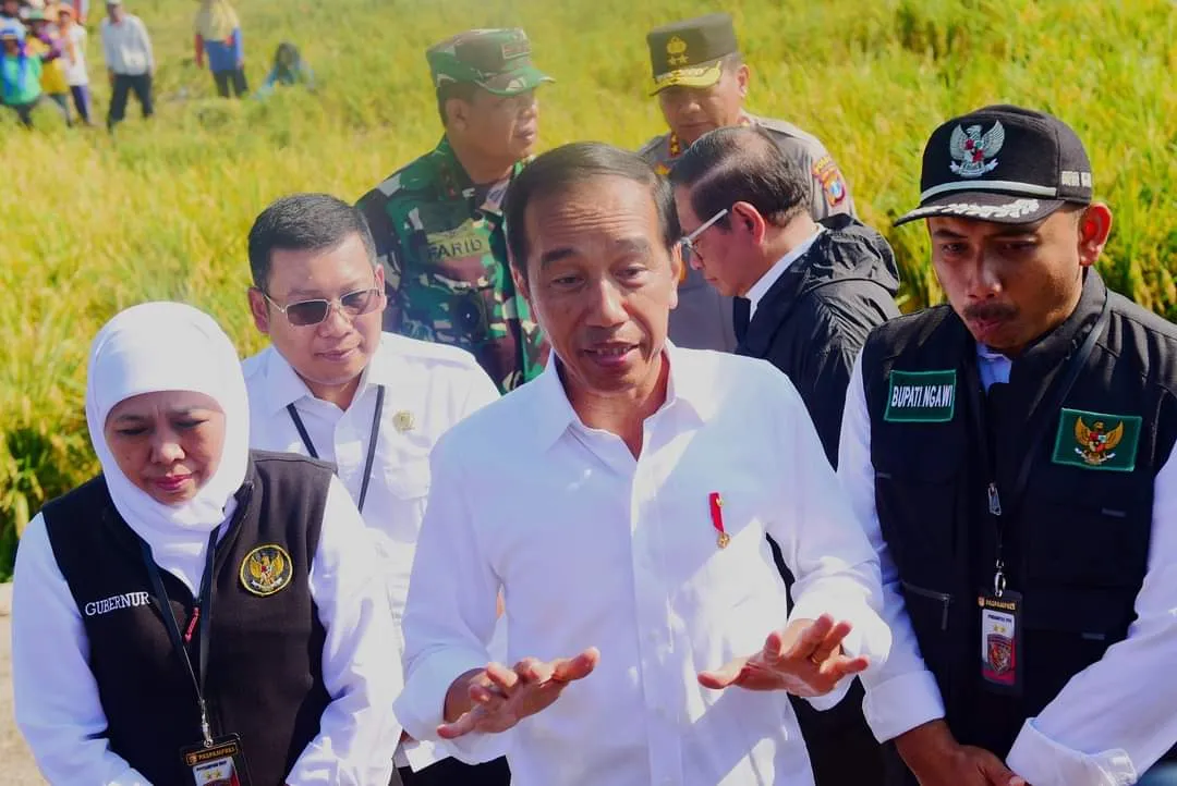 Presiden Tinjau Langsung Panen Raya Padi di Desa Kartoharjo, Kecamatan Ngawi, Kabupaten Ngawi