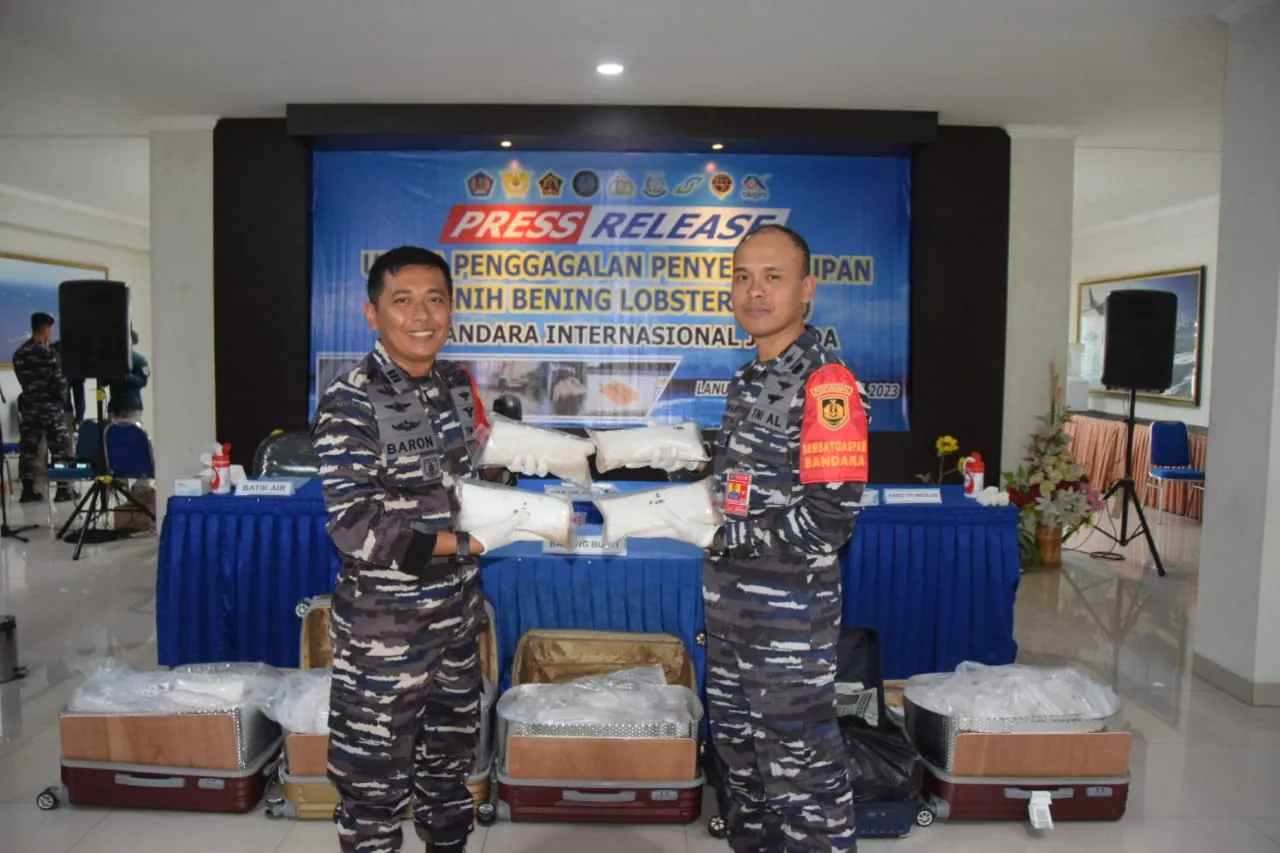 SINERGITAS SATGASPAM BANDARA JUANDA KEMBALI GAGALKAN PENYELENDUPAN BENIH BENING LOBSTER 212.566 EKOR SENILAI 8,8 MILYAR