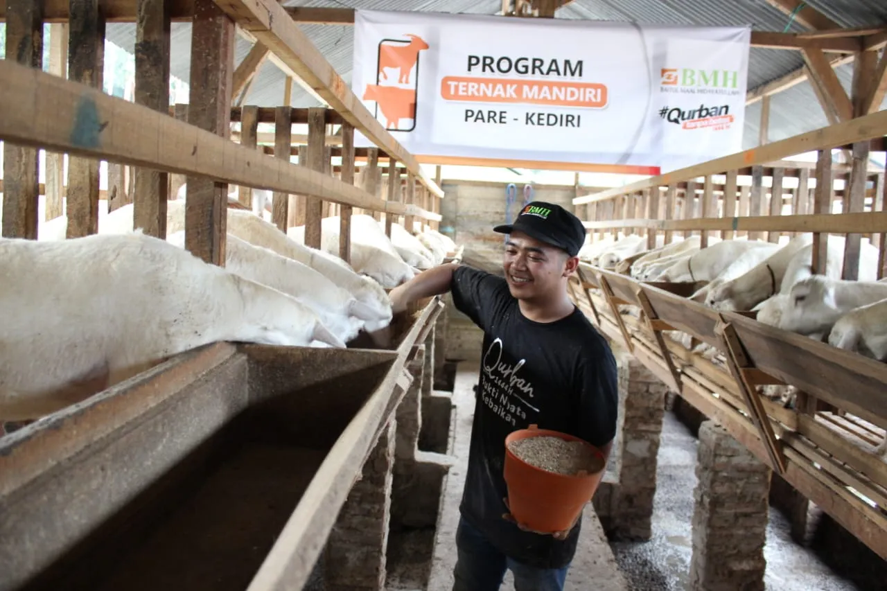 JELANG QURBAN, BMH JATIM SIAPKAN HEWAN BERKUALITAS & JAMINAN JANTAN