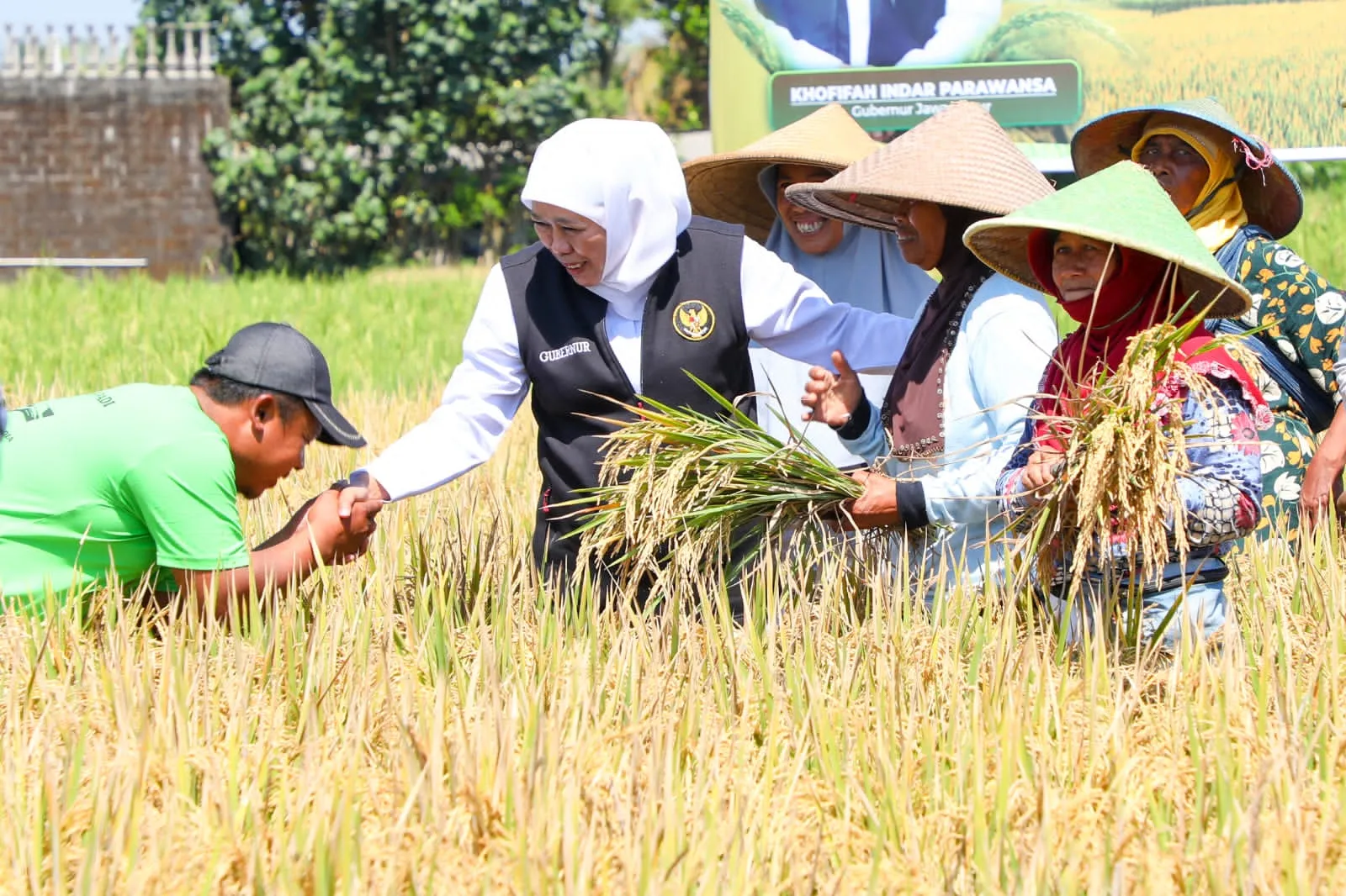 Konsisten Jadi Provinsi Penghasil Padi Tertinggi, Gubernur Khofifah Raih Penghargaan Adhikarya Nararya Pembangunan Pertanian