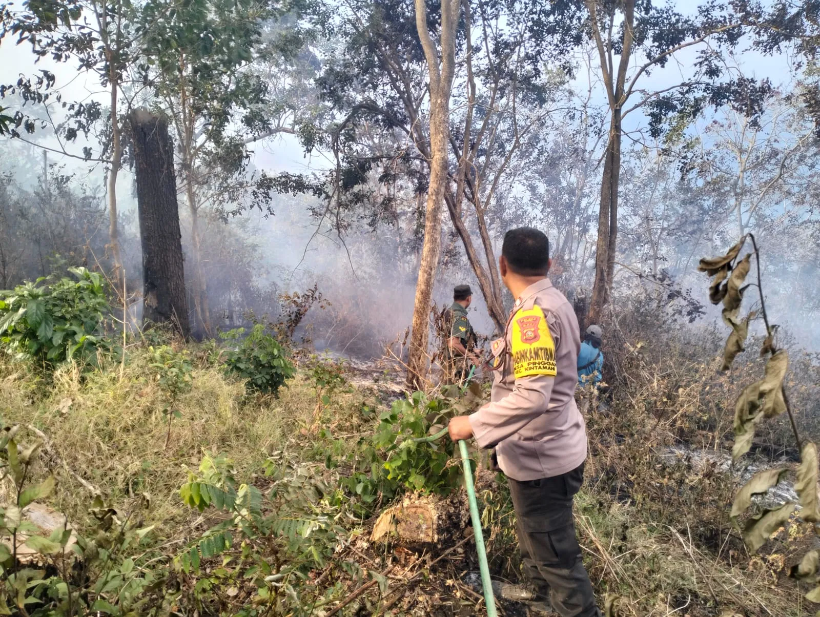 Kebakaran Hutan di Desa Pinggan Kintamani , ini yang dilakukan Polsek Kintamani