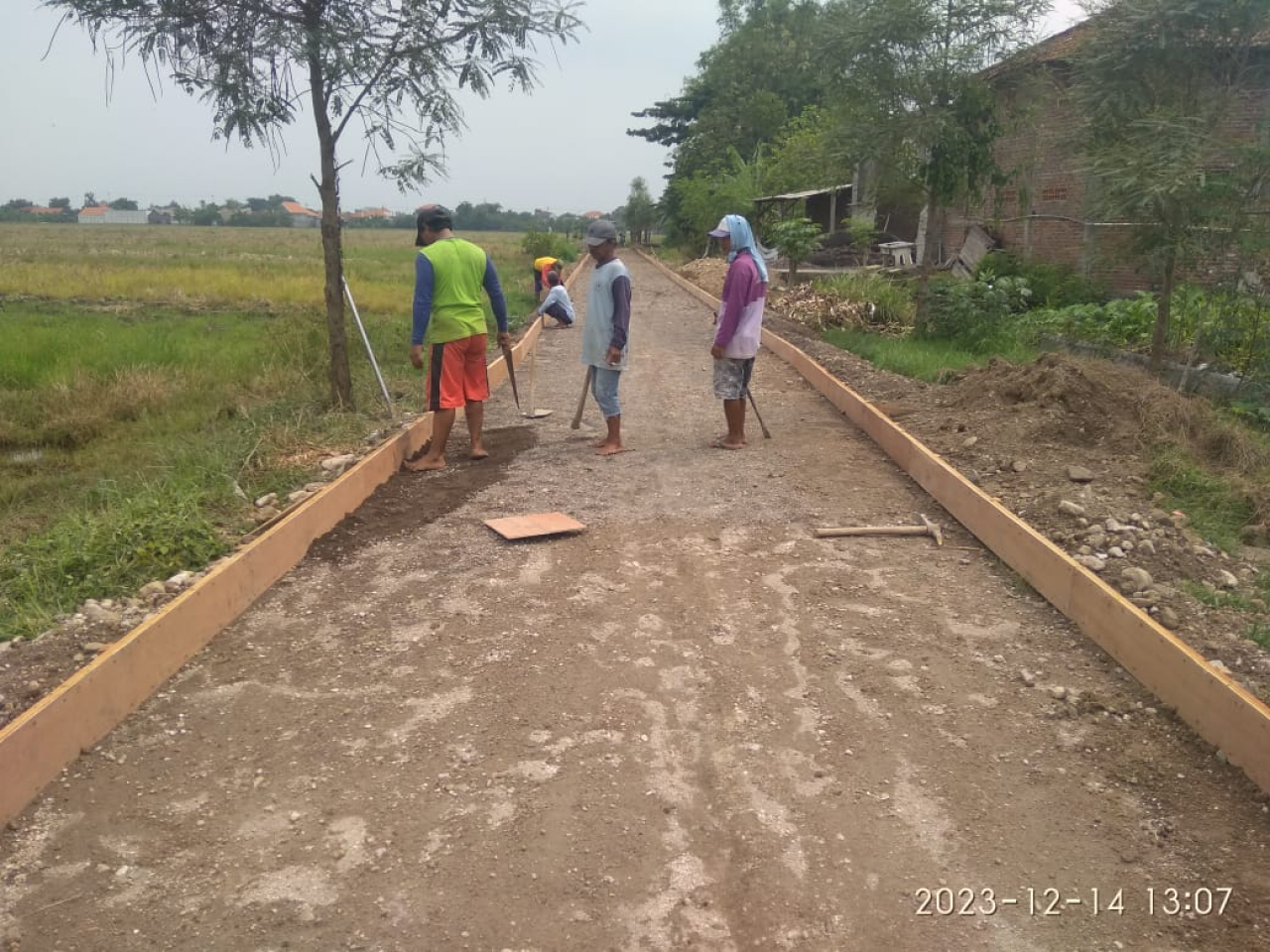 Optimalkan Dana Desa, Pemdes Wonokasian Betonisasi Jalan Lalu Lintas Petani