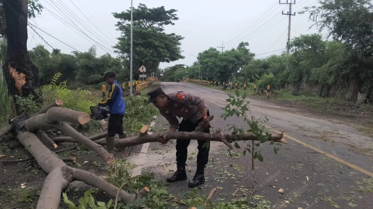 Polisi bersama Tagana dan Masyarakat Bersihkan Pohon Tumbang