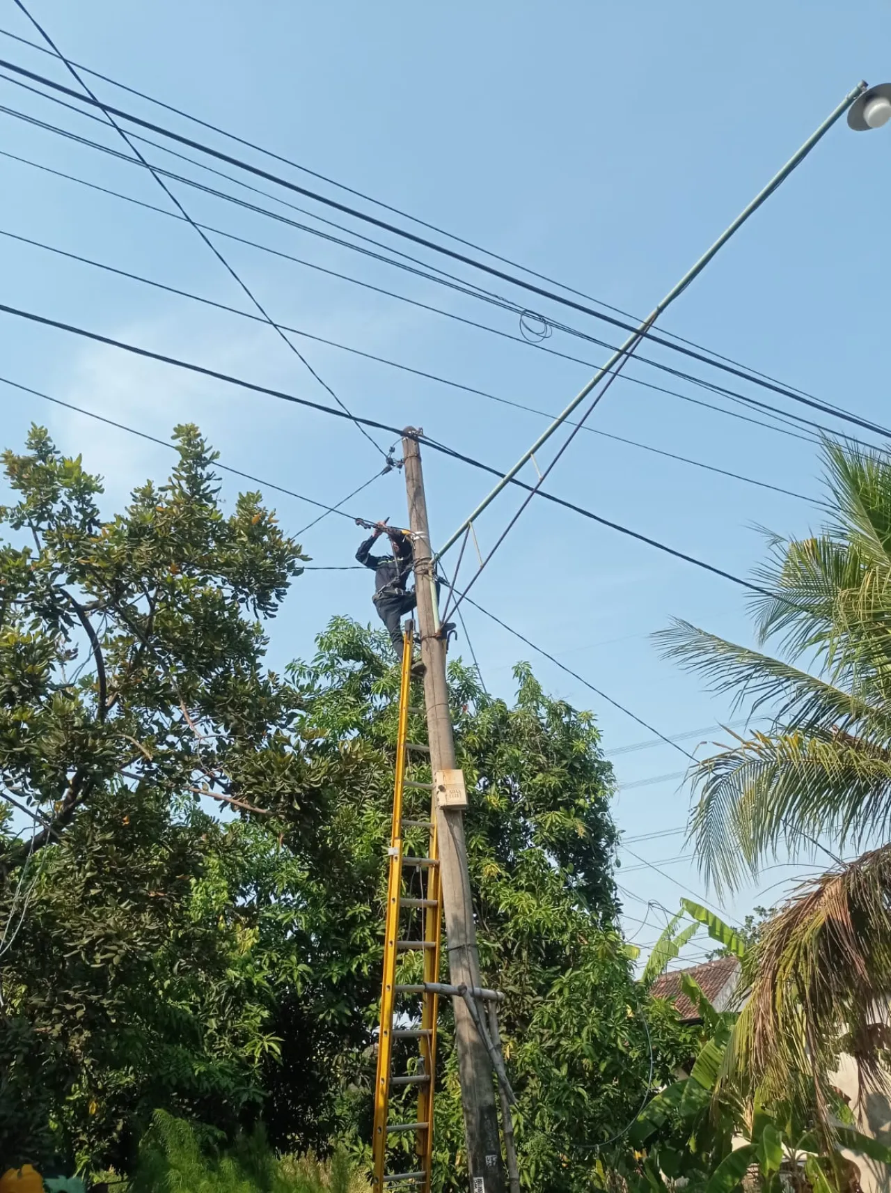 PLN Icon Plus Menata Kabel di Tiang PLN Kota Surabaya