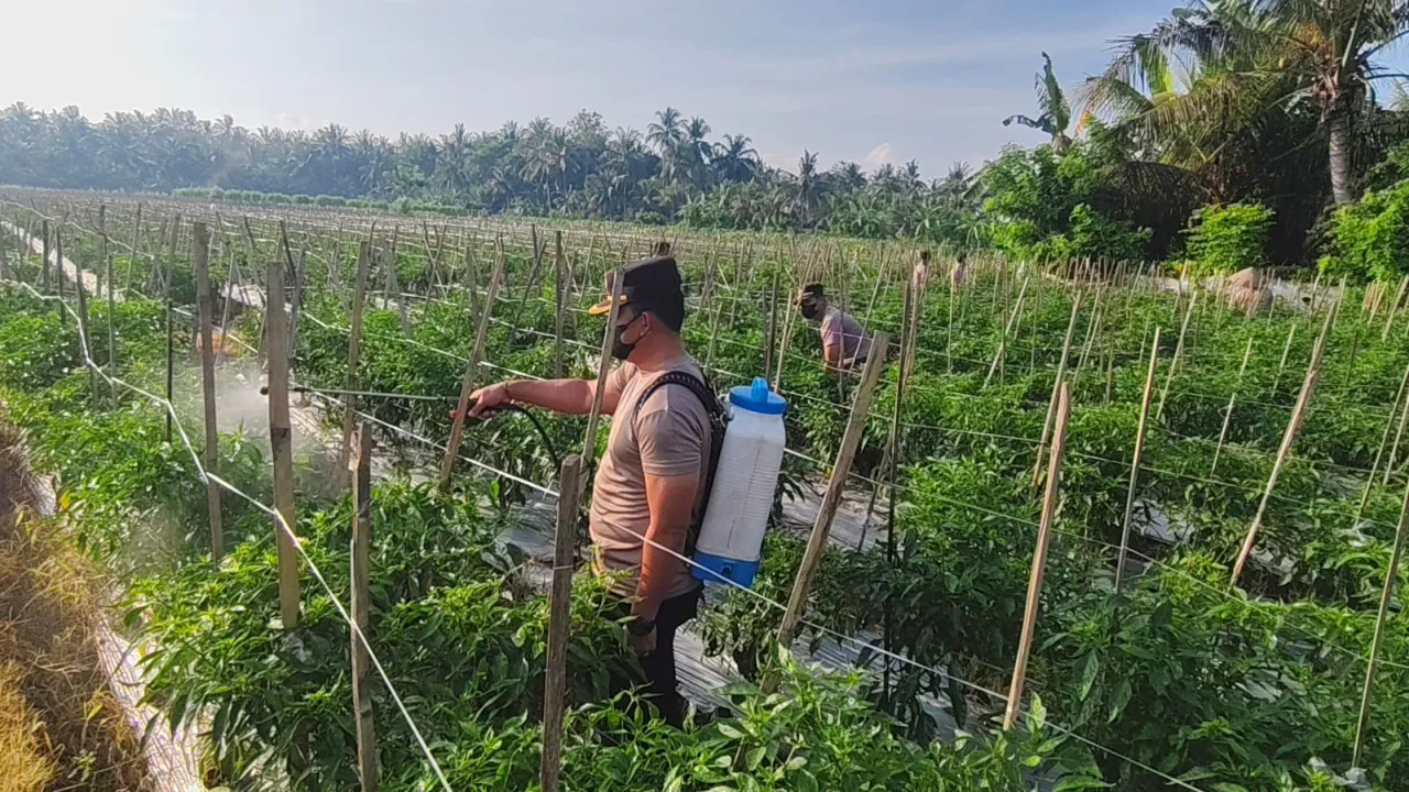 Polsek Kawasan Pelabuhan Gilimanuk Dukung Program 100 Hari Presiden Prabowo Subiyanto Menuju Swasembada Pangan