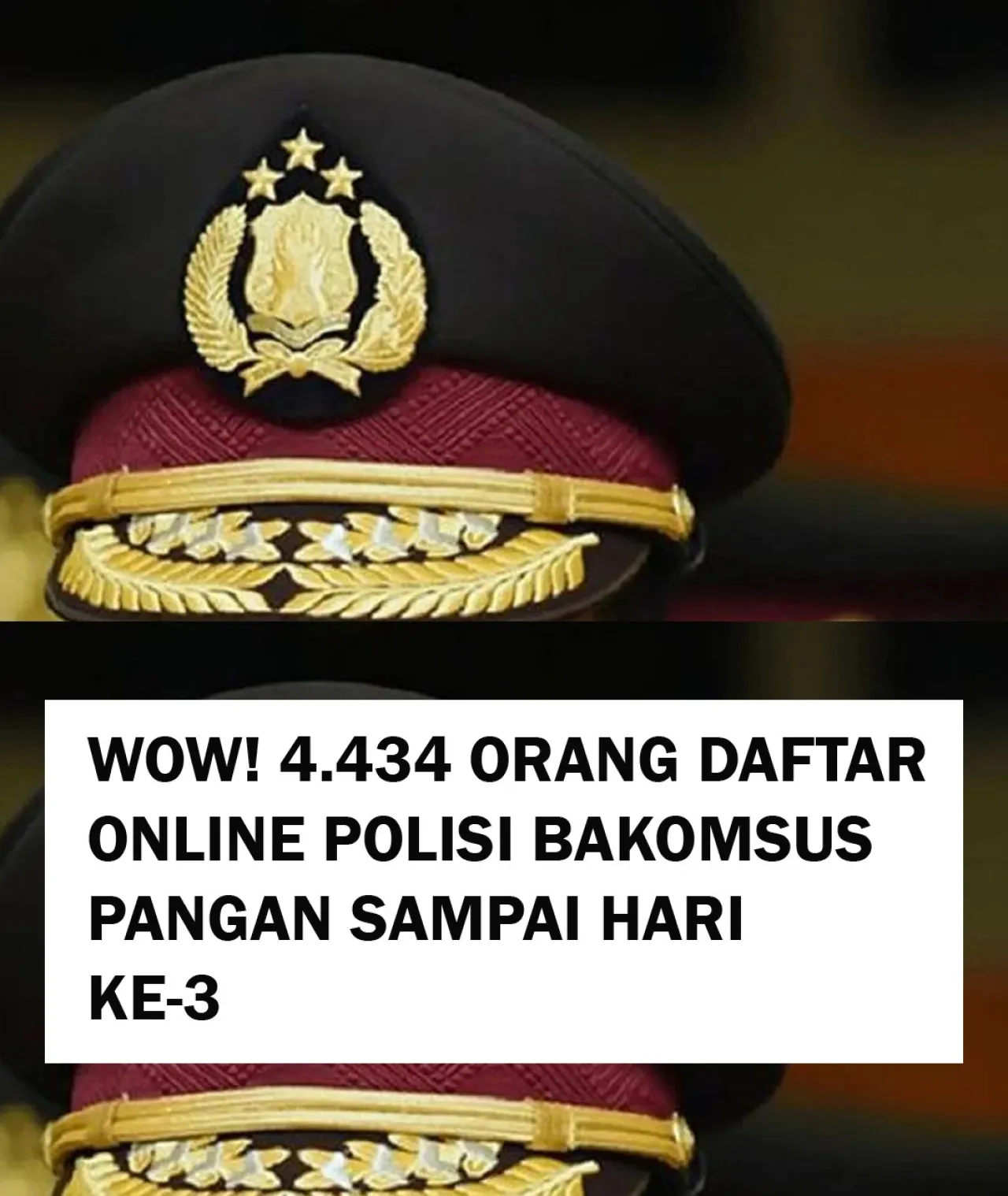 Total Pendaftar Bakomsus bidang Pangan Polri Hingga Hari ke-3 4.434 Orang 