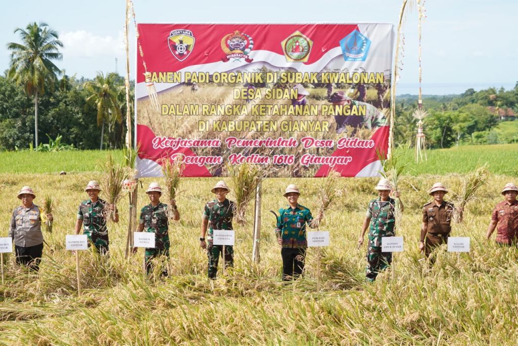 Sukseskan Swasembada Pangan, Pangdam IX/Udayana Panen Raya Padi di Desa Sidan