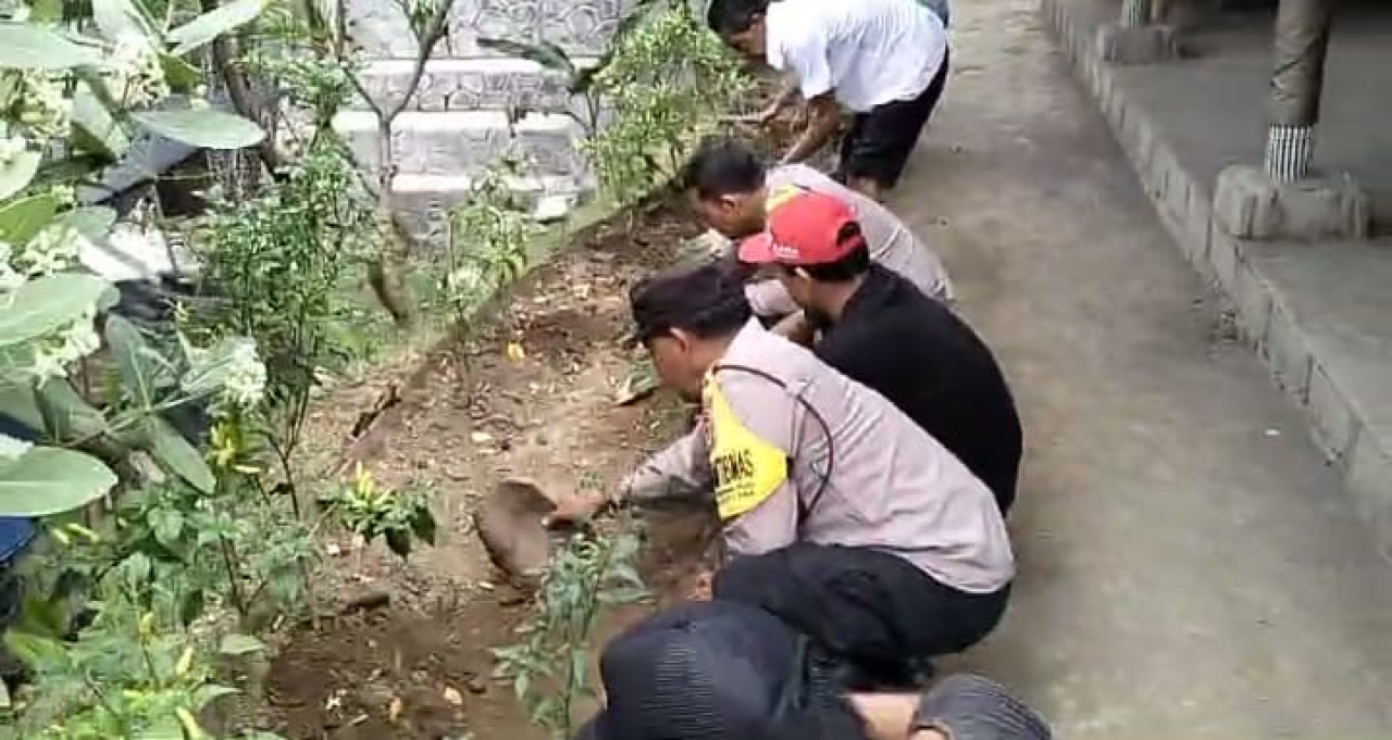 Penanaman Cabe di Pekarangan Warga, Polsek Dentim Gaungkan Ketahanan Pangan