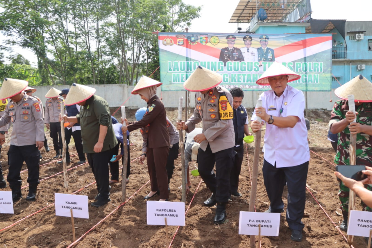Dukung Ketahanan Pangan, Polres Tanggamus Tanam Jagung Unggul di Areal Satpas SIM