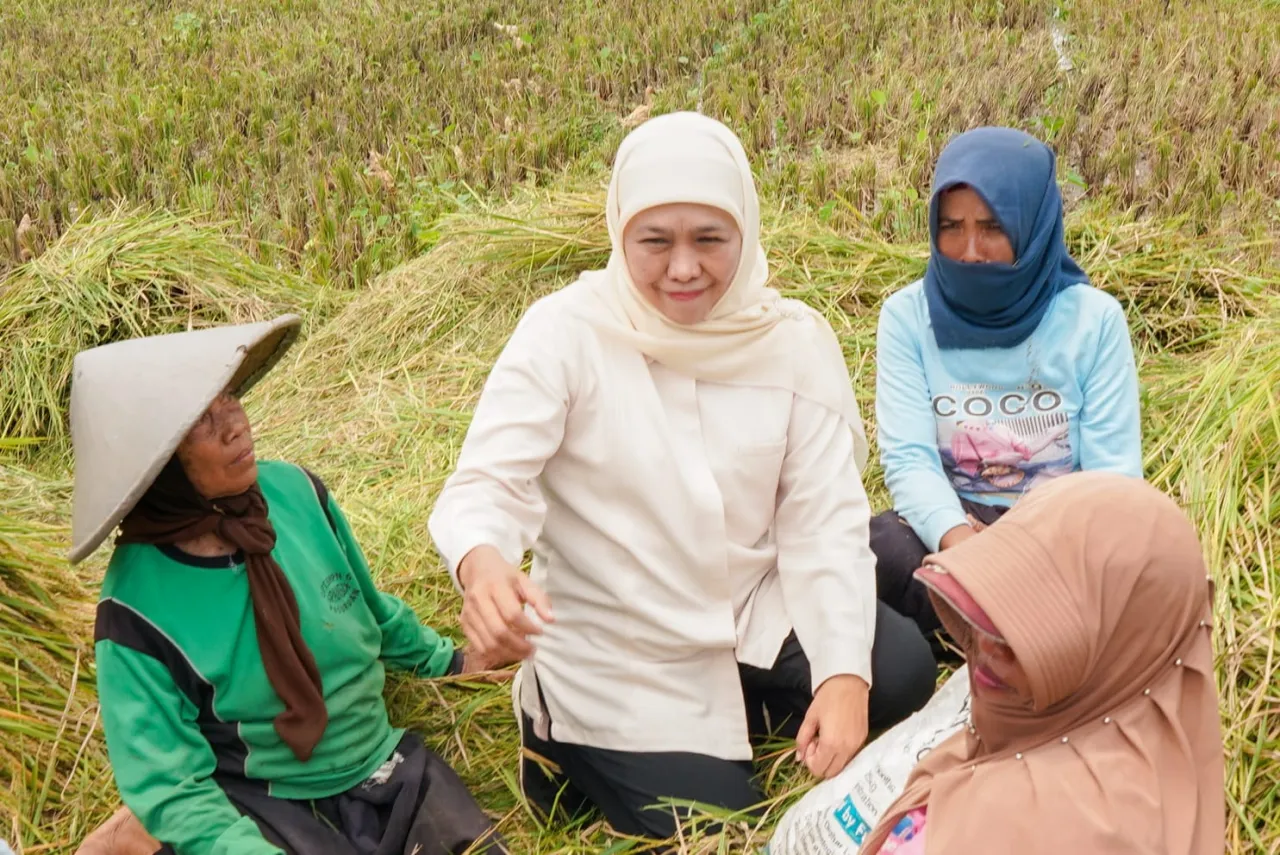 Khofifah Pastikan Siap Dukung Swasembada Pangan Nasional
