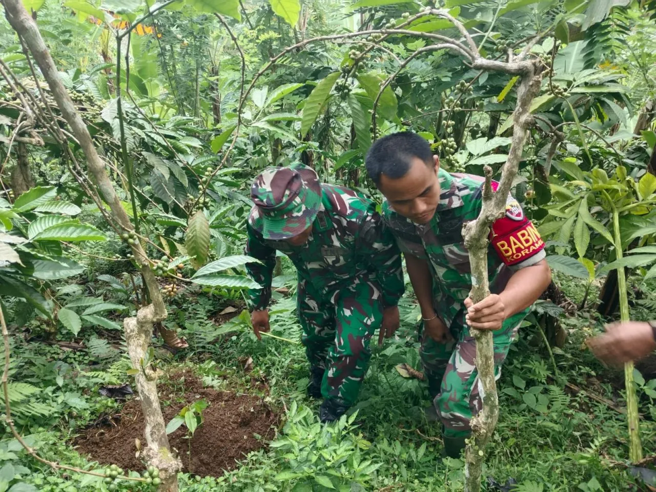Peduli Lingkungan Hidup Kodim 1617/Jembrana Gelar Program Penanaman Pohon