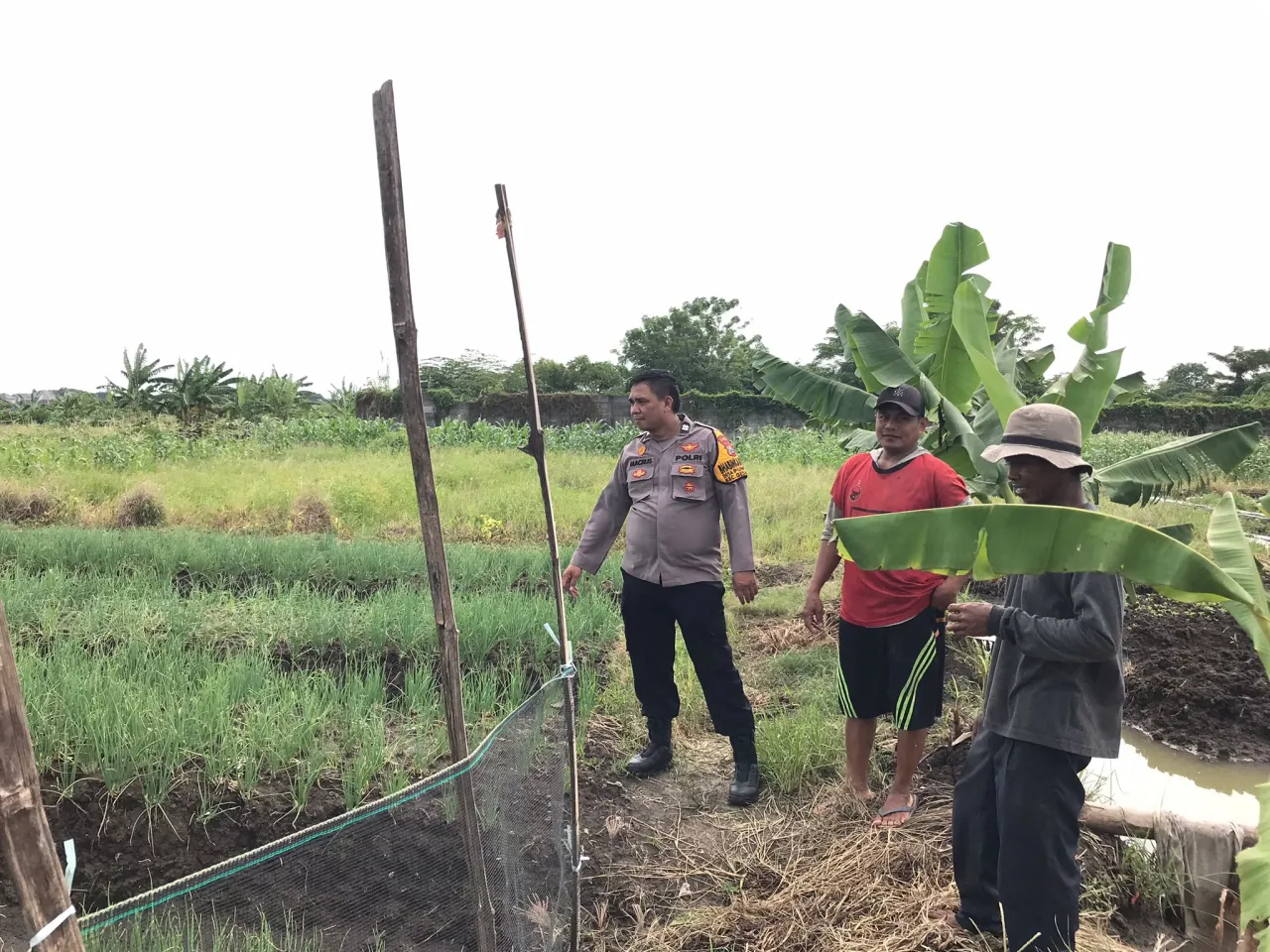Bhabinkamtibmas Desa Punggul Bersama Warga Cek Lahan Ketahanan Pangan