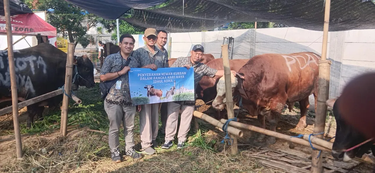 PDAM kota Surabaya Salurkan 14 Sapi Kurban Idul Adha 1446 H, Wujud Kepedulian dan Komitmen Layanan untuk Kota Surabaya