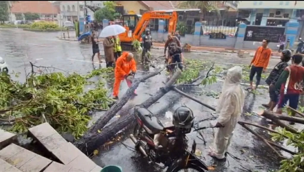 Camat Semampir H. Yunus Tanggap Turun ke Lapangan Saat Pohon Tumbang Akibat Hujan Lebat.