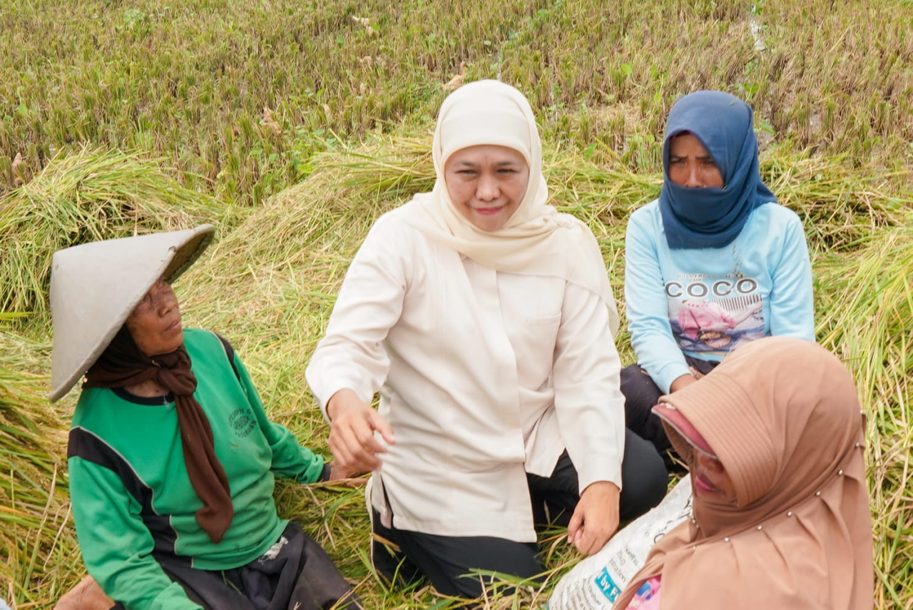 Khofifah Pastikan Siap Dukung Swasembada Pangan Nasional
