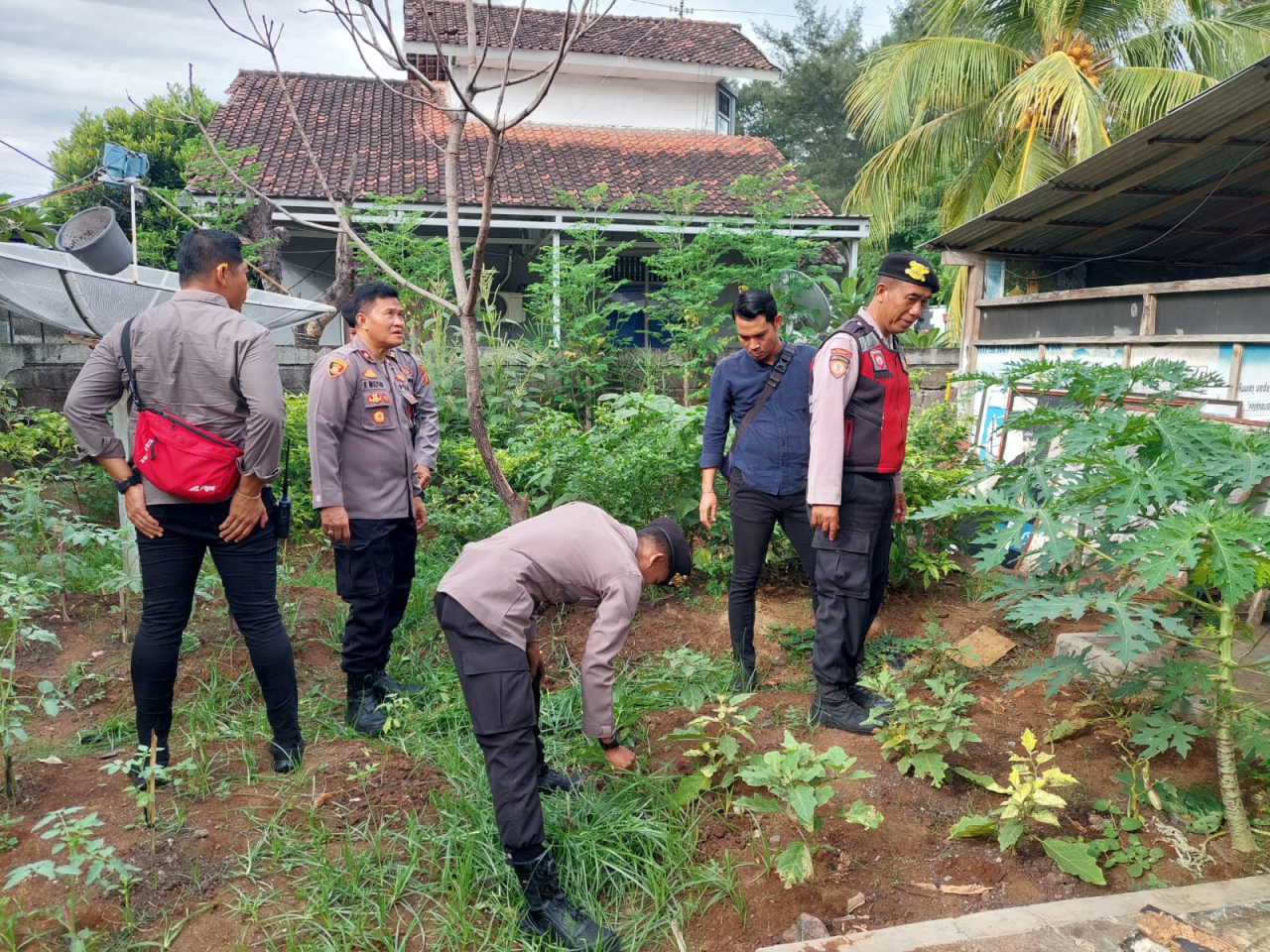 Polsek Kawasan Pelabuhan Gilimanuk Rawat Tanaman P2B dan Ikan di Halaman Belakang Mako