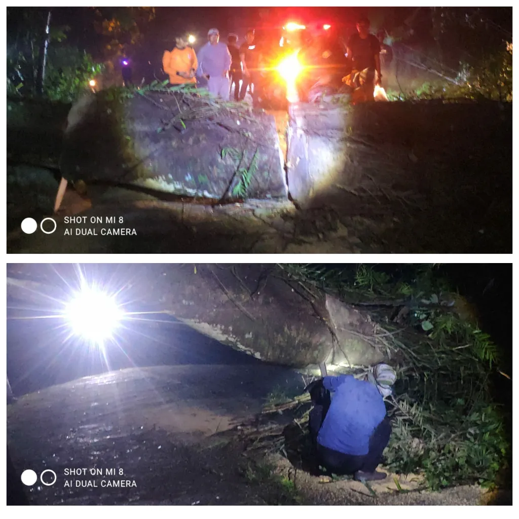 Pohon Tumbang Di Kawasan Wisata Cagar Budaya Jolotundo, 