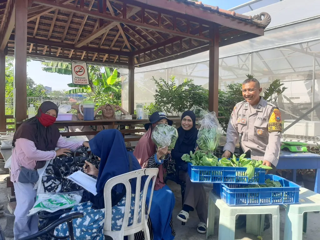 Bhabinkamtibmas Perak Barat Monitoring Ketahanan Pangan dan Panen Hidroponik di KWT Dorang Cinta. 