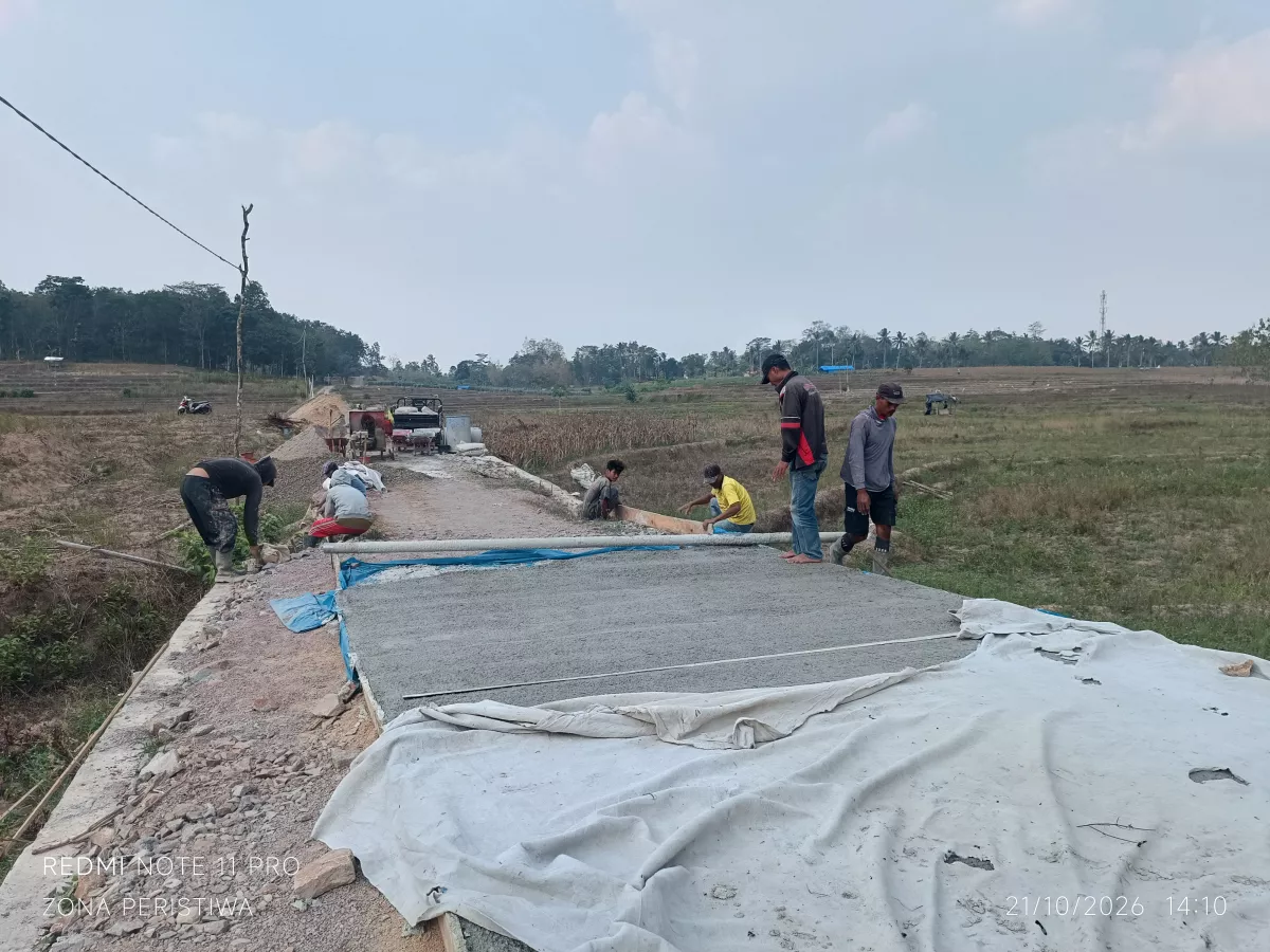 PROYEK RABAT BETON DI PEKON PADANG REJO JADI SOROTAN, TIDAK ADA PAPAN INFORMASI DAN PEKERJA TANPA APD