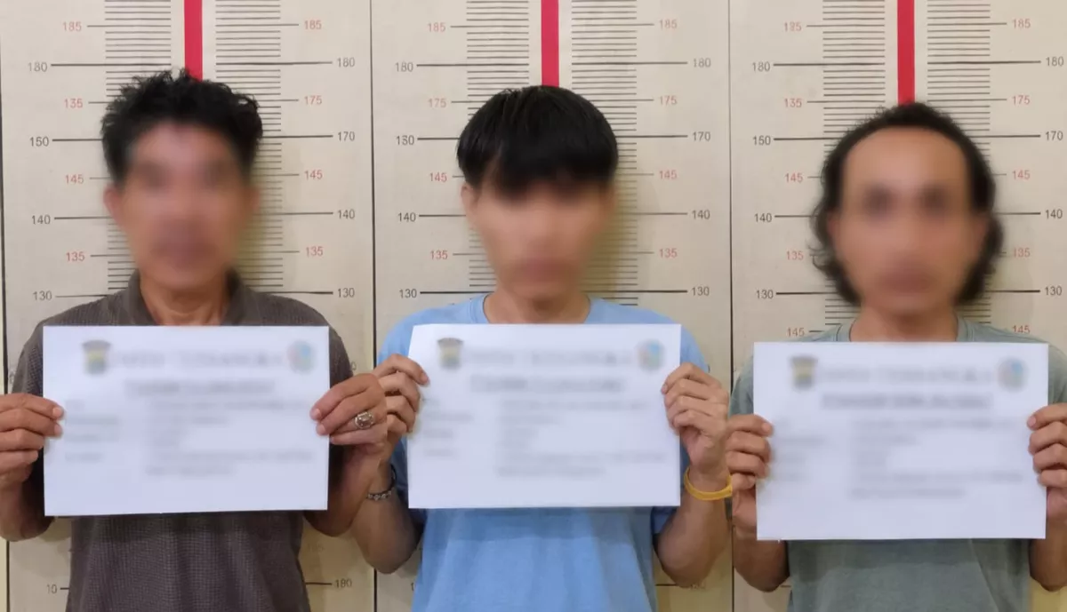 Satresnarkoba Polres Tanggamus Tangkap Tiga Orang Dalam Penggerebekan Dugaan Peredaran Sabu di Gisting