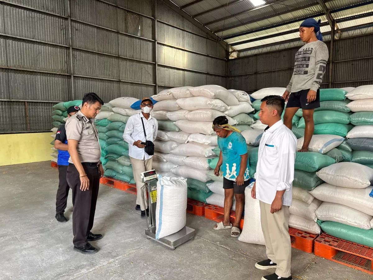 Polres Pelabuhan Tanjung Perak Pasok 1 Ton Jagung Hasil Panen Binaan ke Bulog