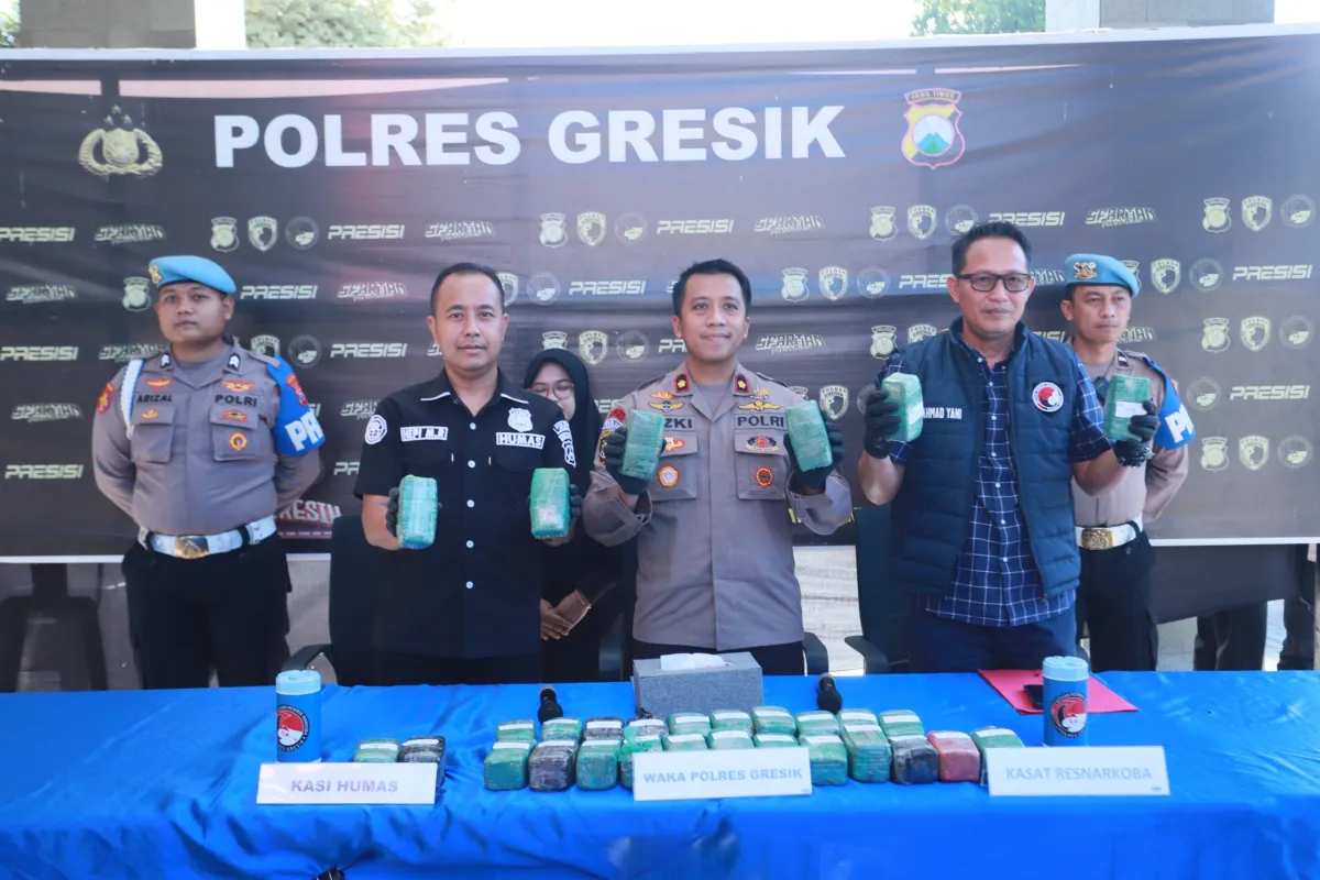 Polres Gresik  Sita 10,8 Kg Ganja di Gudang Ekspedisi ‎ ‎