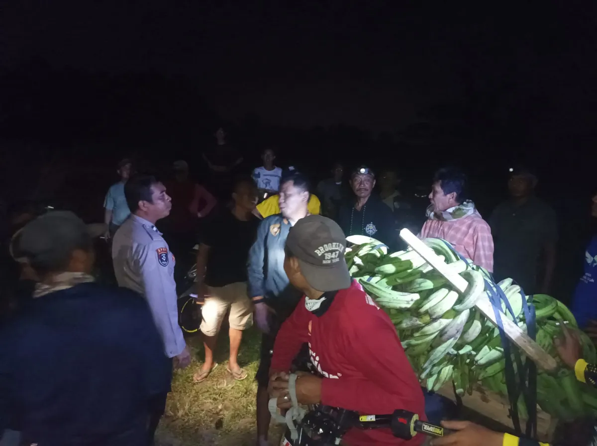 Gerak Cepat SPKT, Pamapta dan Reskrim Polres Tanggamus Amankan Terduga Pencuri 11 Tandan Pisang di Kota Agung Timur